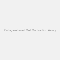 Collagen-based Cell Contraction Assay